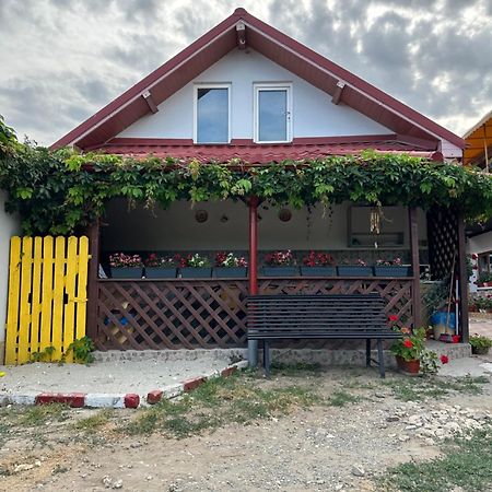 Casa Cu Flori Corbu 호텔 코르부 외부 사진