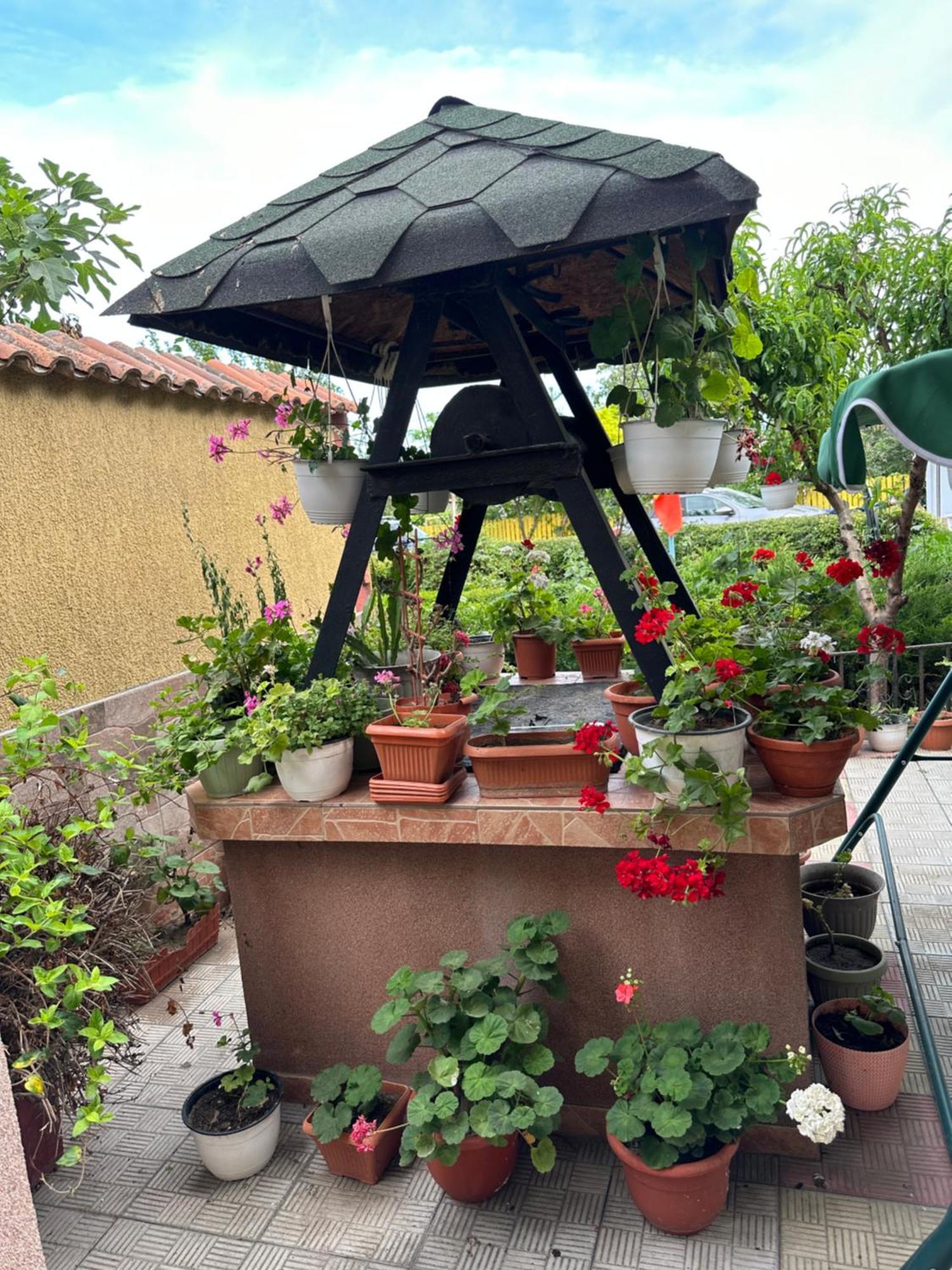 Casa Cu Flori Corbu 호텔 코르부 외부 사진