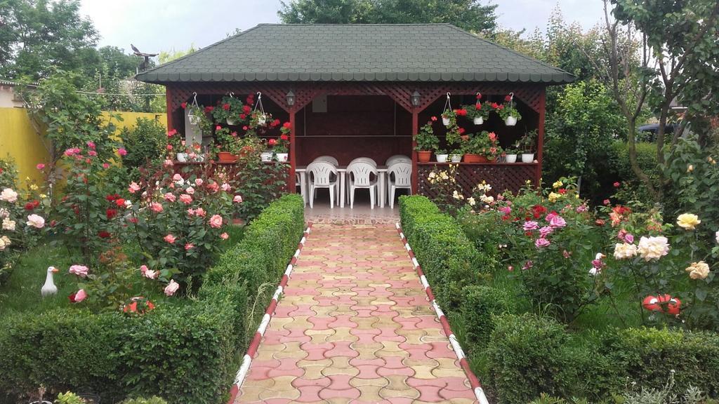 Casa Cu Flori Corbu 호텔 코르부 외부 사진